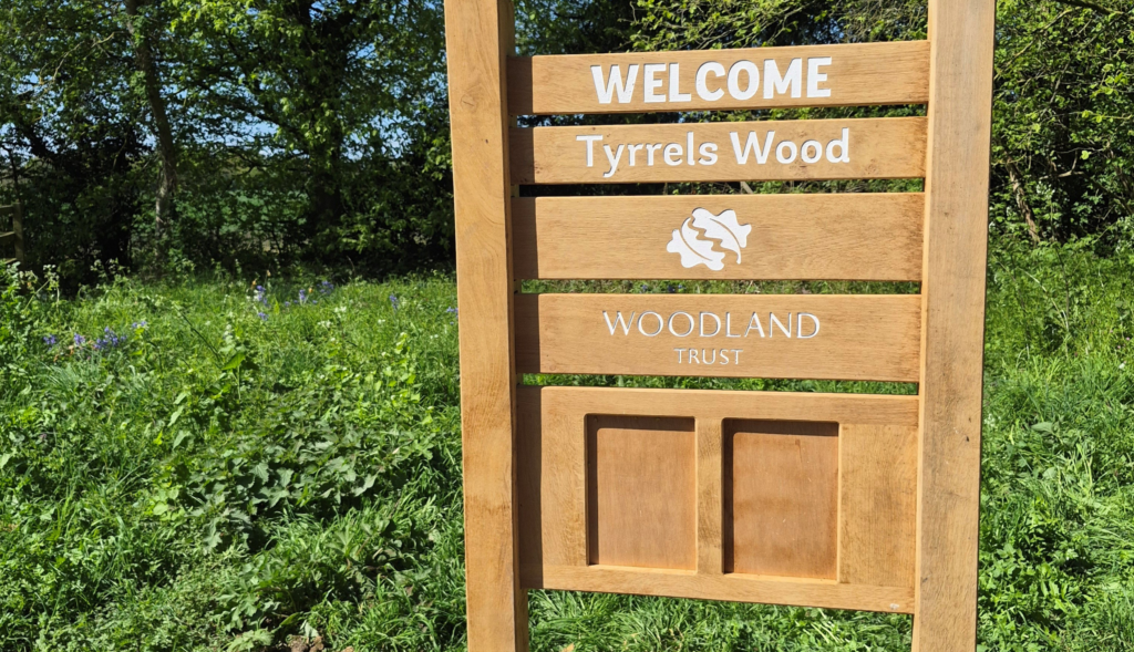 Welcome to Tyrrell's Wood