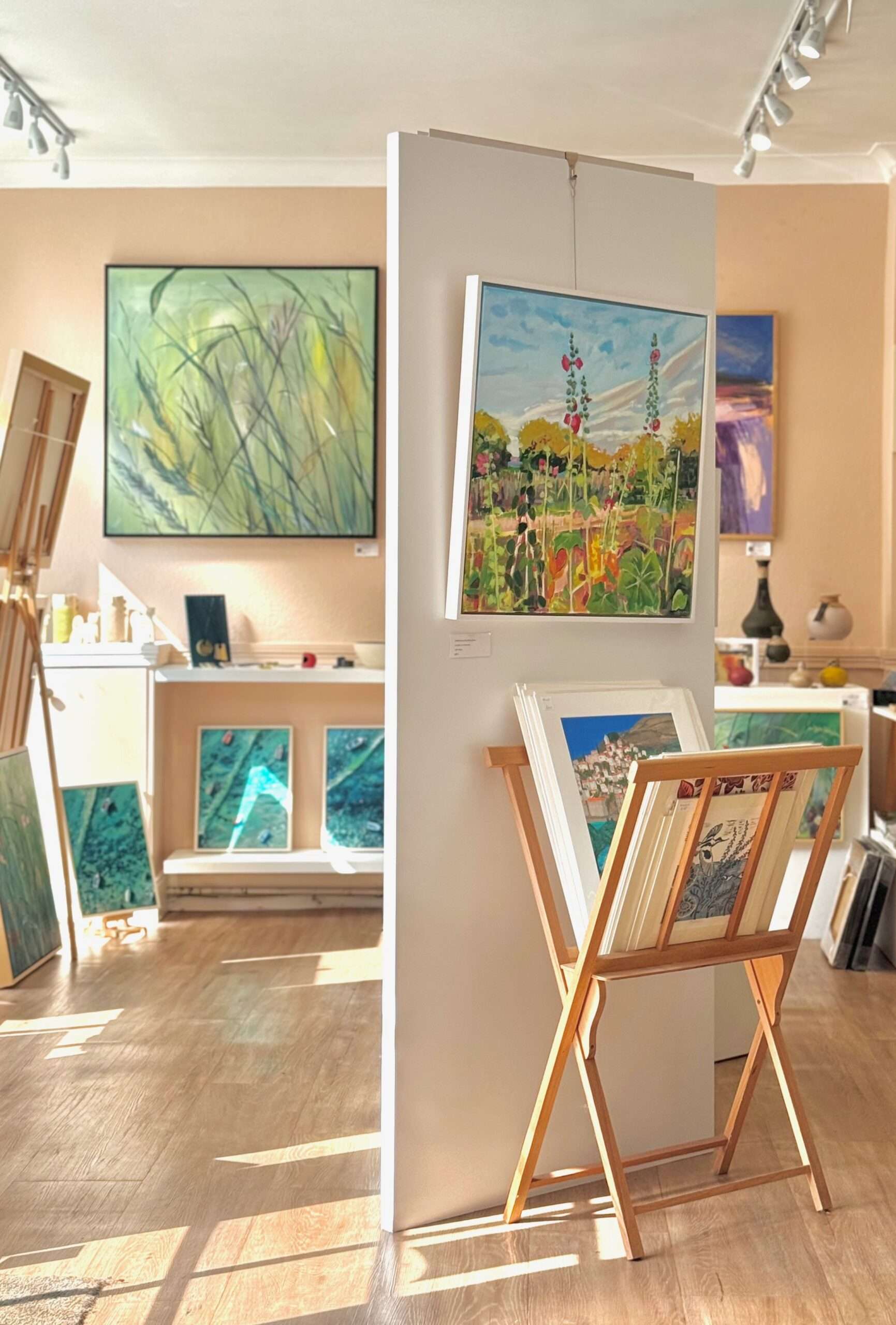Mana Art Gallery Picture Display