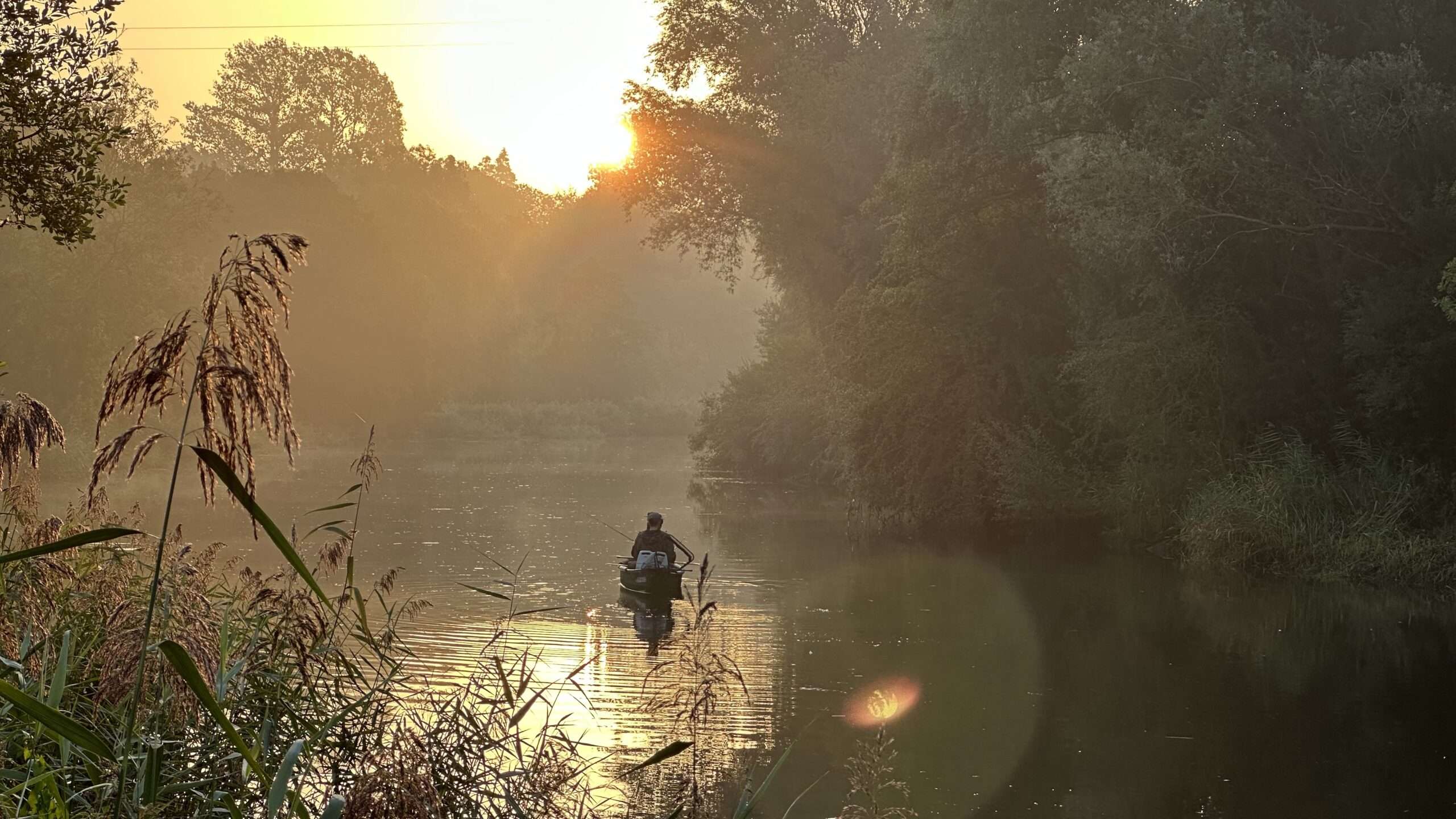 Peaceful morning down by the river