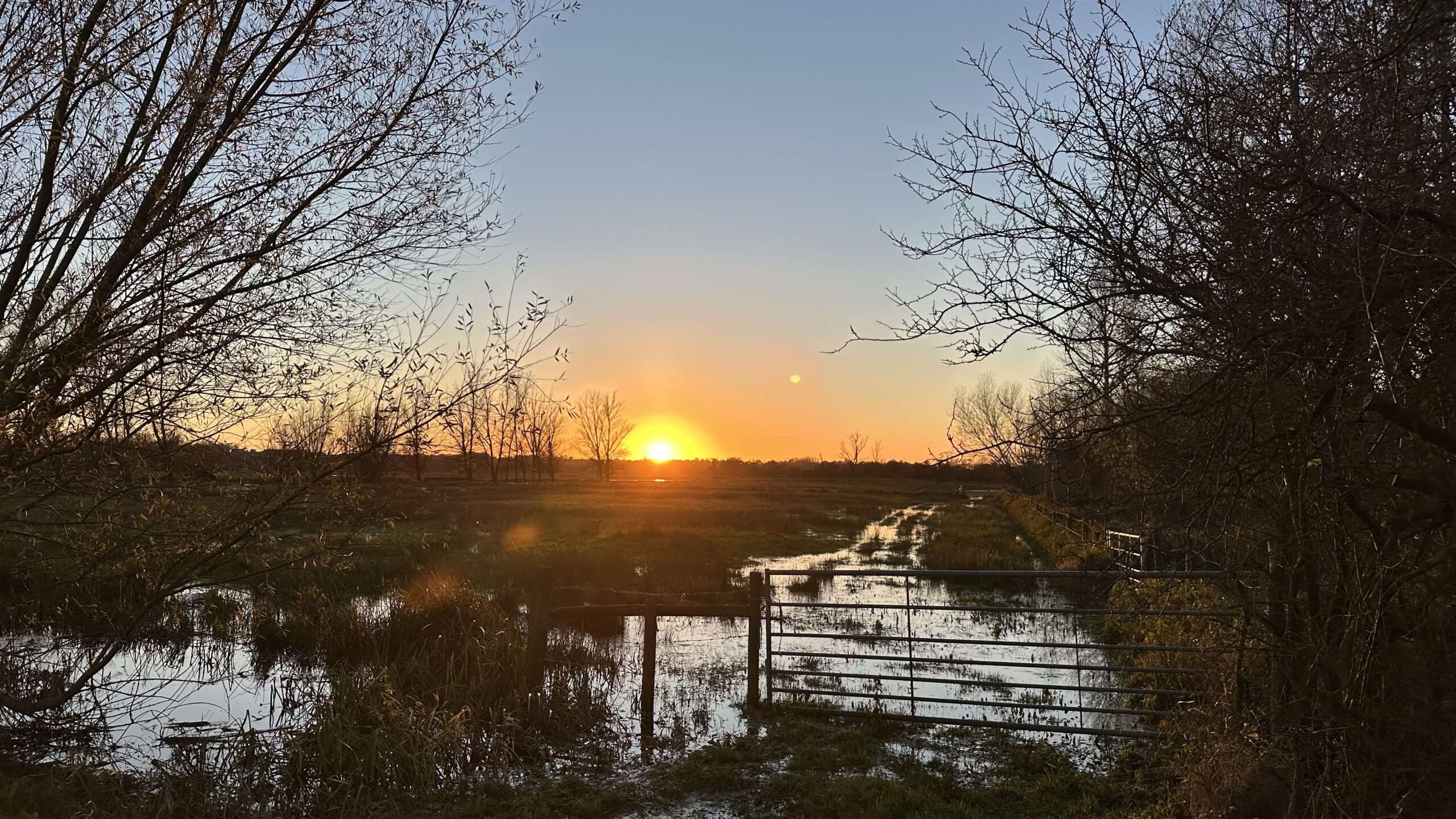Winter sunset over the marshes